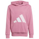 Adidas Παιδικό φούτερ Big Logo French Terry Hoodie